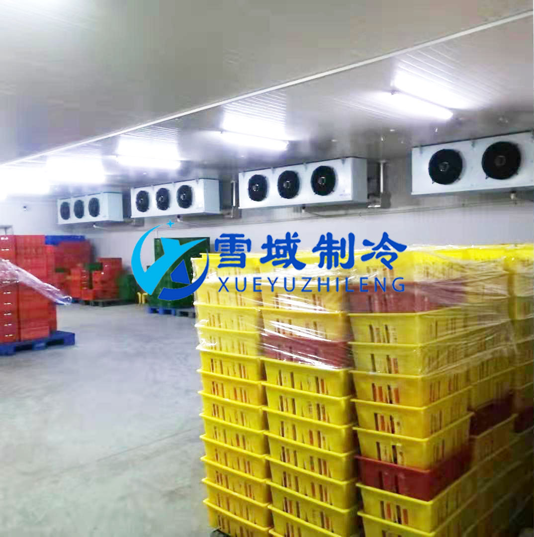 徐州衛(wèi)崗速凍冷庫(kù)現(xiàn)場(chǎng)圖片