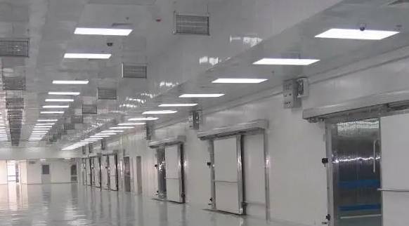 建造安裝一個(gè)200㎡的冷凍庫需要多少錢