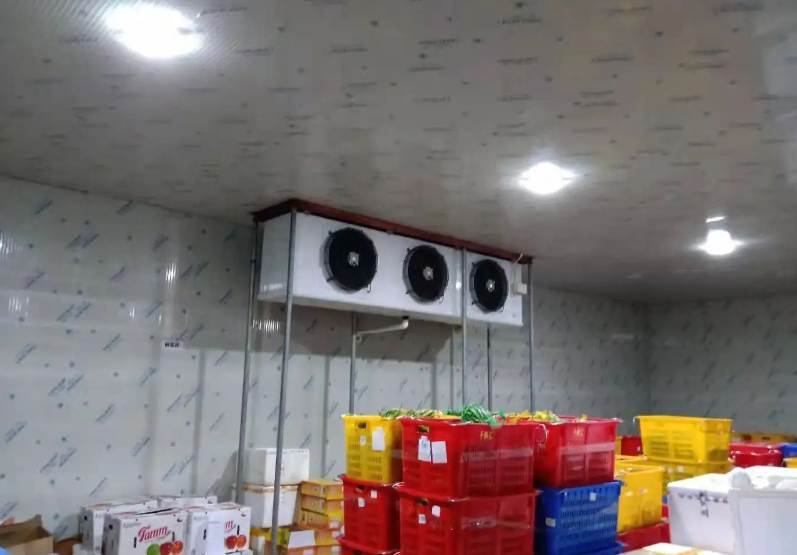 連云港建造大型蔬菜冷庫(kù)一平米多少錢(qián)