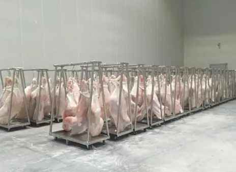 安裝500立方豬肉冷凍庫(kù)需要多少錢