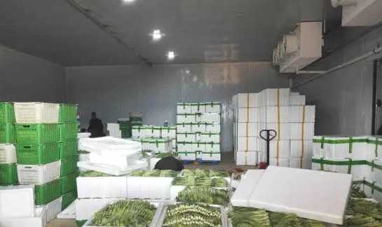 大型蔬菜冷庫(kù)工程報(bào)價(jià)多少錢