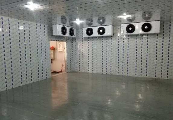 南京低溫冷庫(kù)建造需要多少錢