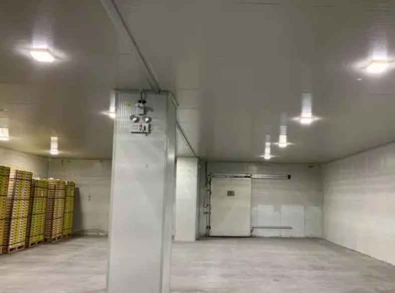 茶葉冷庫工程設計流程是什么樣