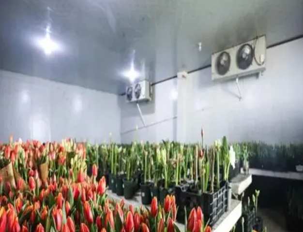 建一個(gè)15平的鮮花冷庫(kù)要多少錢