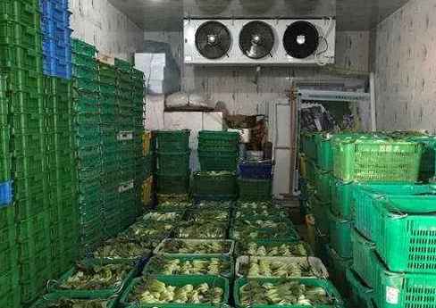 蘇州蔬菜氣調(diào)冷庫大概多少錢