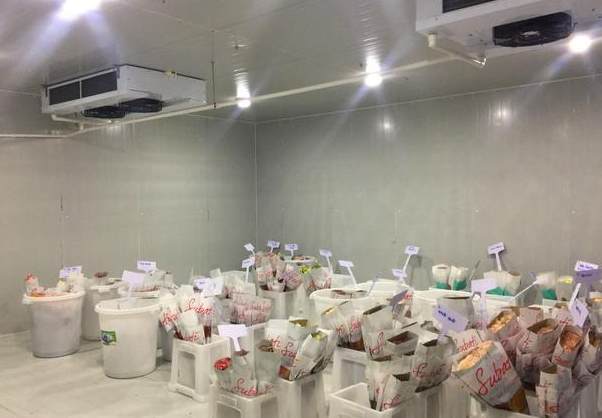 花卉小型冷庫(kù)建設(shè)多少錢一平方