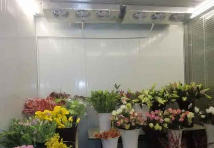 花卉小型冷庫(kù)建設(shè)多少錢一平方