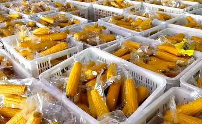 大量玉米除了冷庫保鮮儲存，還有其他方法嗎