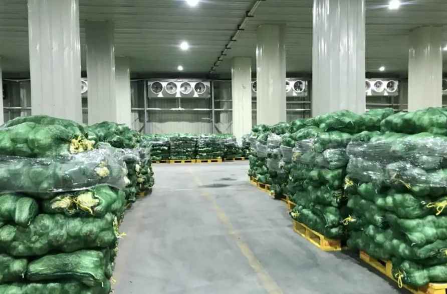 菜市場蔬菜冷庫理想建造面積應為多少平方米？